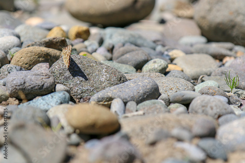 stones on the beach