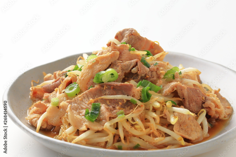 豚肉ともやしの炒め物 豚肉ともやしの炒め物