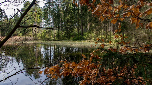 Herbststimmung am See im Waldviertel, Österreich
