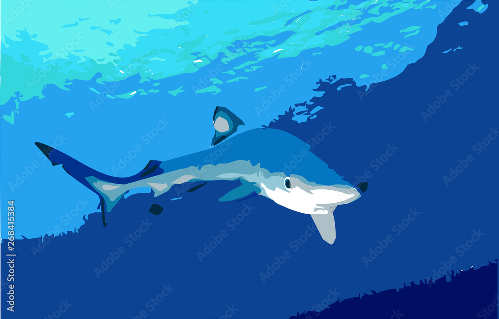 Fototapeta premium JAWS_PRINT_RONNIE_00004
