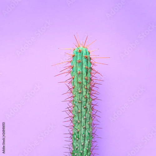 Trendy tropical Green Neon Cactus on Purple Color background. Fashion Minimal Art Concept. Creative Style. Cacti colorfull fashionable mood