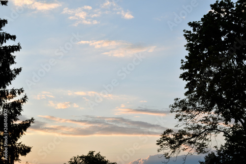 Beautiful sky with sunset colored clouds and trees