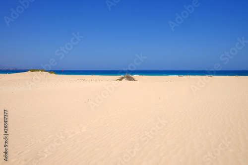 Sand Dunes and beach in National Park Corralejo  Fuerteventura.