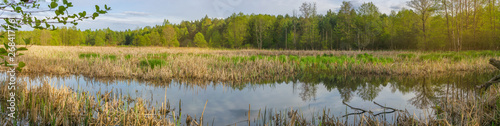 Spring views of Belarus