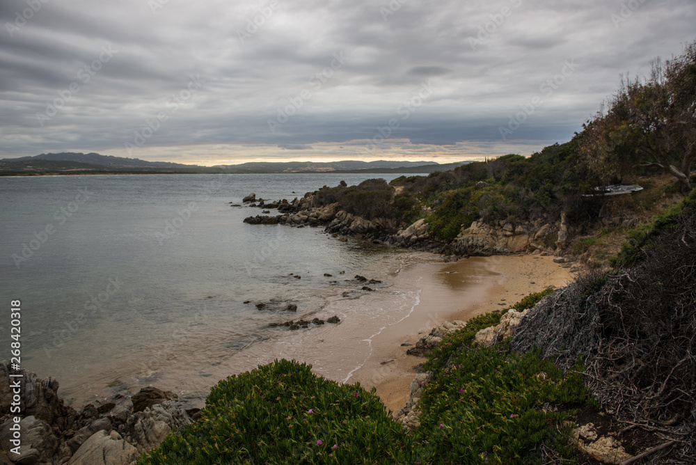 Fototapeta premium cold coastline