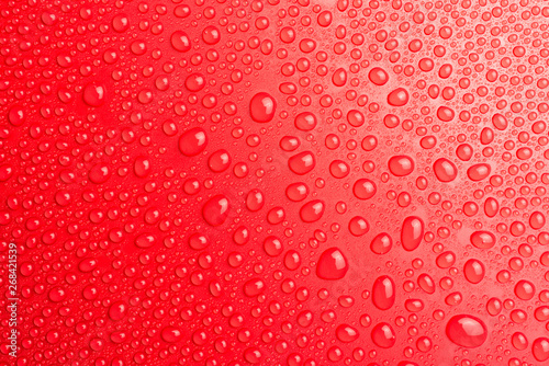 Droplets of water on a red, matte background illuminated with a delicate light.