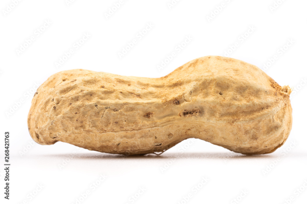 dried  peanuts with shell on white background