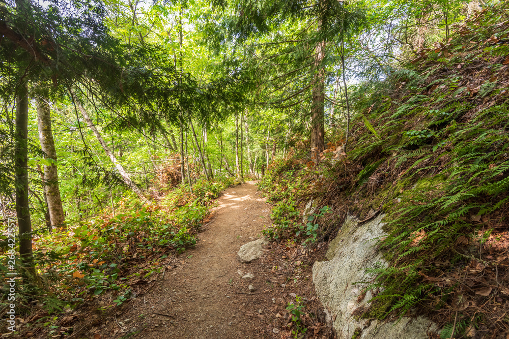 View at Mountain Trail in British Columbia, Canada. Mountains Background. View at Mountain Trail in British Columbia, Canada. Mountains Background.