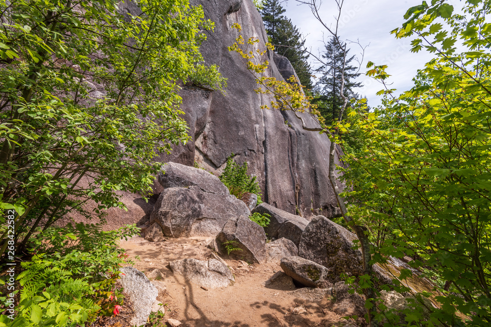 View at Mountain Trail in British Columbia, Canada. Mountains Background.