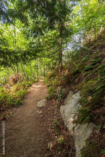 View at Mountain Trail in British Columbia, Canada. Mountains Background.