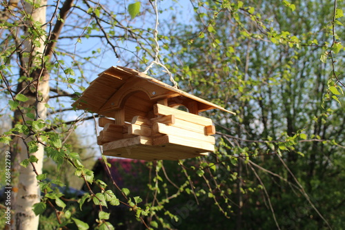 wooden bird feeder on a tree branch © Elena Bondareva