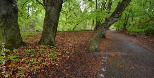 Spring Impressions from Seagulls Lake (Möwensee) in national park (Volkspark) Rehberge in Berlin-Wedding from April 28, 2015, Germany