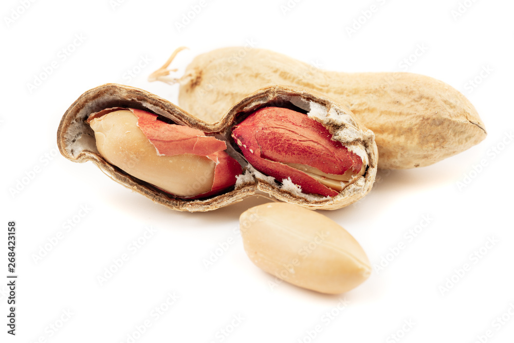 dried peanuts with shell on white background dried peanuts with shell on white background