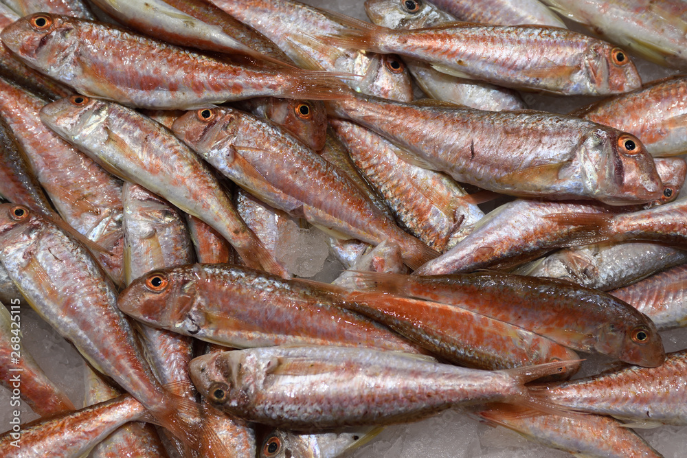 Fresh fish in a traditional market in Catalonia Fresh fish in a traditional market in Catalonia
