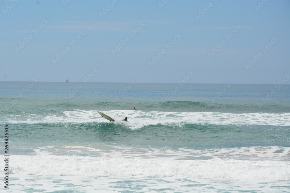 campeche - sc campeche - sc