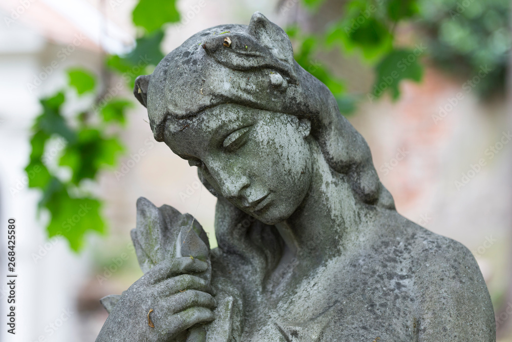 Historic Statue on the mystery old Prague Cemetery, Czech Republic Historic Statue on the mystery old Prague Cemetery, Czech Republic