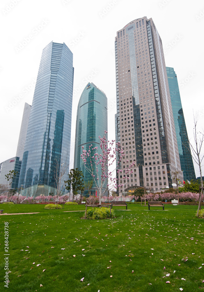 Skyscrapers in Pudong District of Shanghai city in China