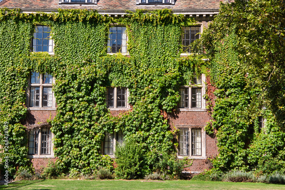 windows of a old college surrounded by green leaves