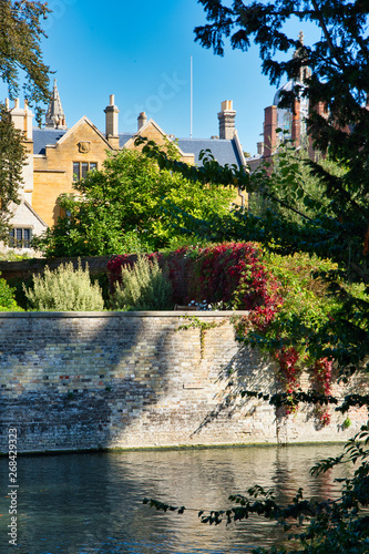 River cam on a sunny day