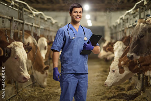 Young male veterinarian with a clipboard on a cow farm
