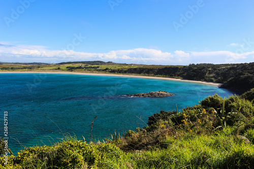 Panoramic view of the island  north island  New Zealand
