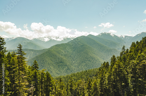 Photo Olympic National Park Hurricane Ridge moutaion side