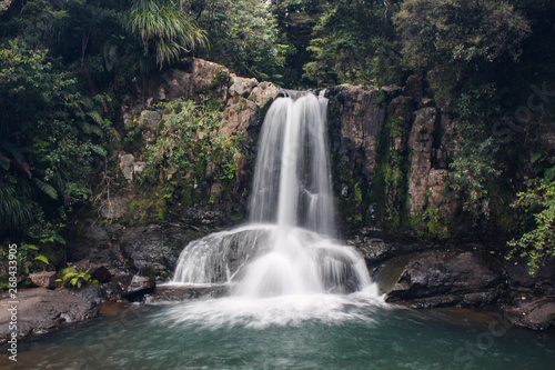 Waterfall in forest, north island, New Zealand