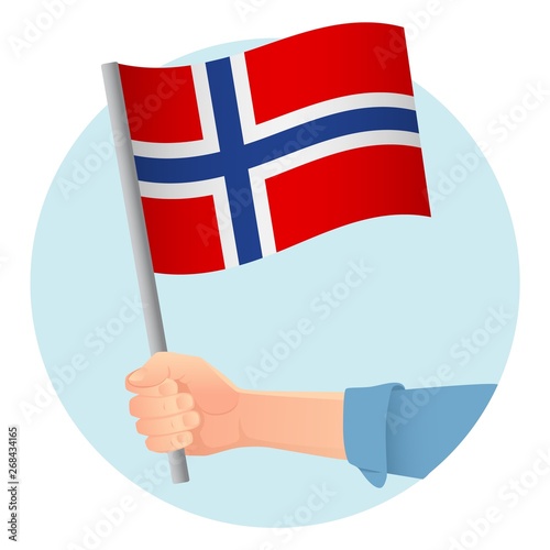 Norway flag in hand icon