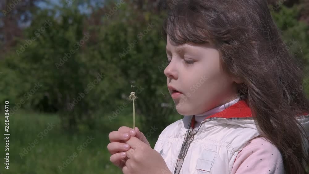 Portrait of a child blowing dandelion. Beautiful little girl blowing on a fluffy dandelion. Portrait of a child blowing dandelion. Beautiful little girl blowing on a fluffy dandelion.