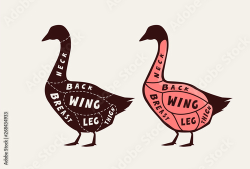 Cut of meat  goose. Poster butcher diagram and scheme  vector illustration