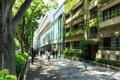 (東京都ｰ都市風景)初夏の表参道２