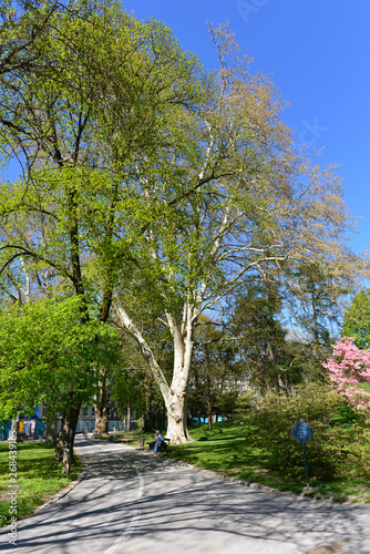 Mirabellgarten Salzburg © Ilhan Balta