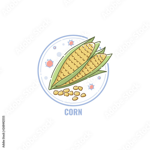 Icon of corn cobs and seeds in circle flat linear style