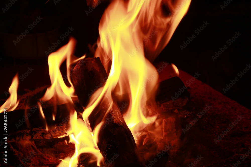 flame of fire flame of fire