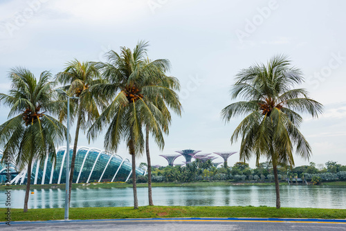 Singapore  Marina Bay Area is magnificent skyline includes many of the most recognizable landmarks.  Supertree grove,Flower Dome, Cloud Forest and Art Science Museum  are most recognizable landmarks. © chanman48