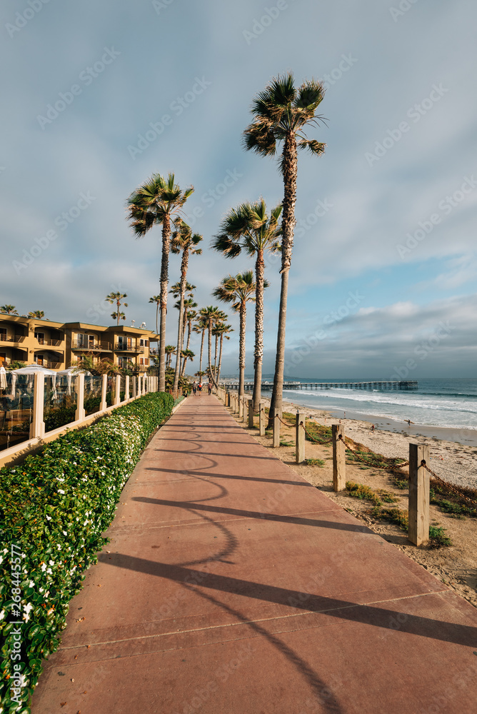 Path and palm trees on a bluff in Pacific Beach, San Diego, California Path and palm trees on a bluff in Pacific Beach, San Diego, California