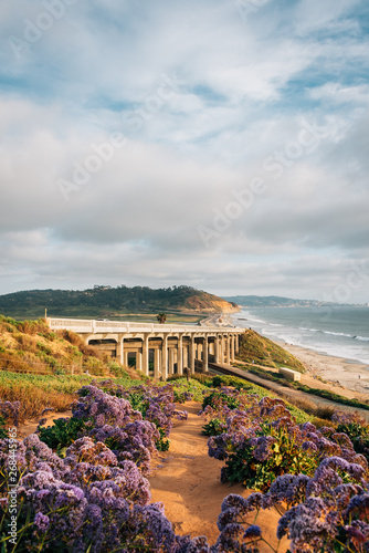 Фотография View of Torrey Pines Road and the Pacific Ocean in Del Mar, San Diego County, Ca