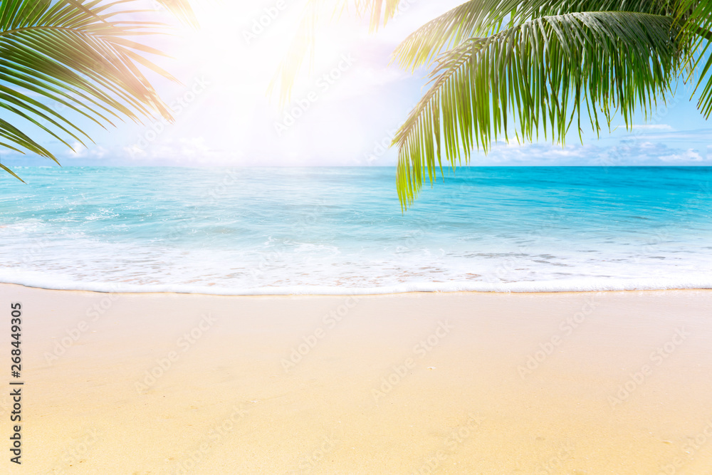  Sunny tropical beach with palm trees and turquoise water, caribbean island vacation, hot summer day