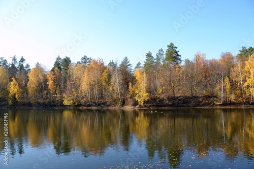 Autumn forest on the shore of a small pond