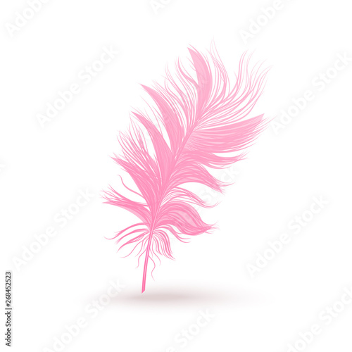 Pink fluffy bird feather isolated on white background