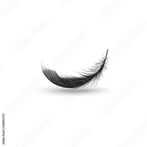 Single falling or hovering curved fluffy black feather realistic style