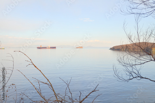 Vladivostok, the island of Skryplev photo