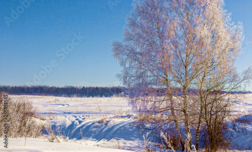 Beautiful winter landscape in the Moscow region.