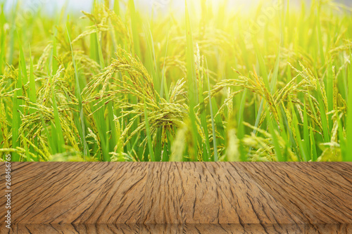 Wooden tables and rice fields for design.
