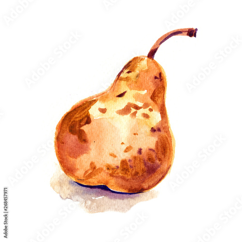 Hand drawn watercolor painting on white background. Illustration of fruit pear.