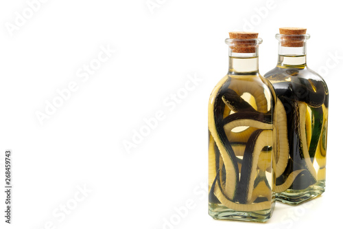 Snakeoil salesman, cure all scam and quack medicine concept theme with bottles of oil and a snake in it isolated on white background with a clipping path cut out and copy space