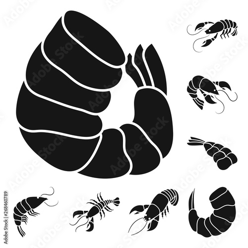 Isolated object of meat and delicacy symbol. Collection of meat and crab stock vector illustration.