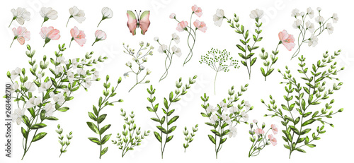 Watercolor illustration. Botanical collection. Set of wild and garden flowers, leaves, branches and other natural elements. All drawings isolated on white background. Pink and white flowers.