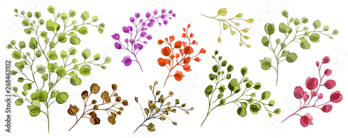 Wallpaper Mural A set of colorful leaves and branches.Watercolor. Botanical illustration. Torontodigital.ca