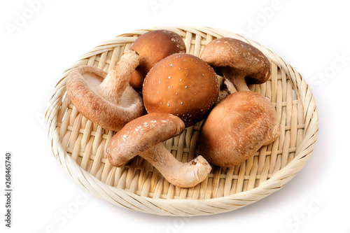 椎茸 Shiitake mushrooms